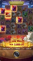 rr777 · Rooster Rbl